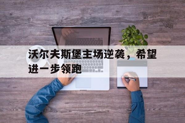 沃尔夫斯堡主场逆袭，希望进一步领跑的简单介绍
